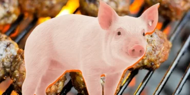 urunlerinde-domuz-eti-cikan-kofteci-kofteci-yusuf-cikti-84le-740x420