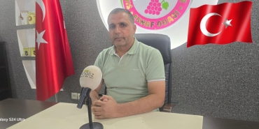 InShot_20241029_171723474