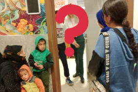 InShot_20241114_095108254