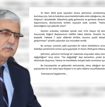 InShot_20241121_131205847