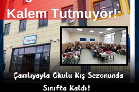 InShot_20241126_152829695