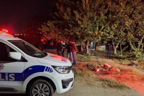 izmir-yangin-iha-2302644_2