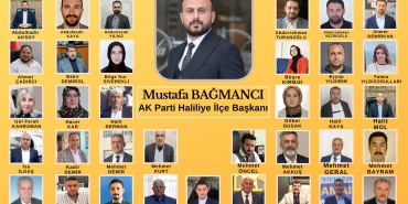 IMG-20241222-WA0221(1)