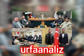 InShot_20241213_192130201