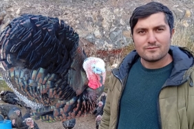 InShot_20241228_162004688