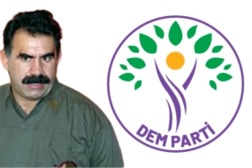 InShot_20241229_132039573