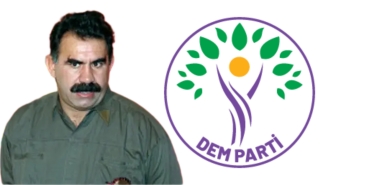 InShot_20241229_132039573