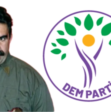 InShot_20241229_132039573