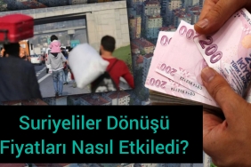 InShot_20241229_215626210