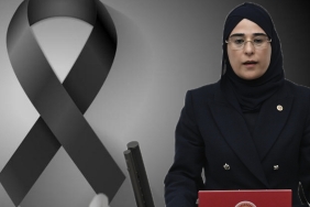 InShot_20241230_111207401