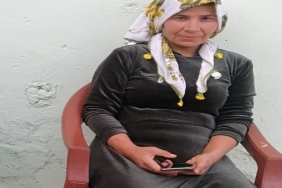 i-m-g-20241217-w-a0008