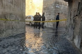 475272084-10233014203791458-6589256608812993382-n