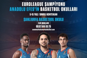 85cefe0900d941b9a7ce8706673973b9