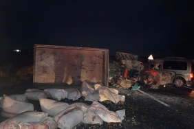 i-m-g-20250109-w-a0104