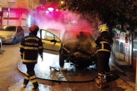 017a159c-fded-461e-ad43-77f1ea9a9dca