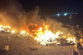 486447676-2114224622375462-5450944534077416477-n