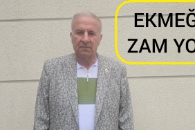 InShot_20250408_130415872