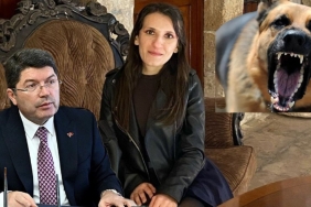 InShot_20250414_095025287