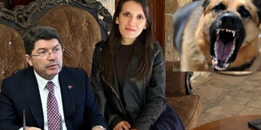 InShot_20250414_095025287