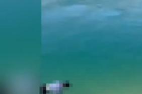 Screenshot_20250418_111829_Instagram