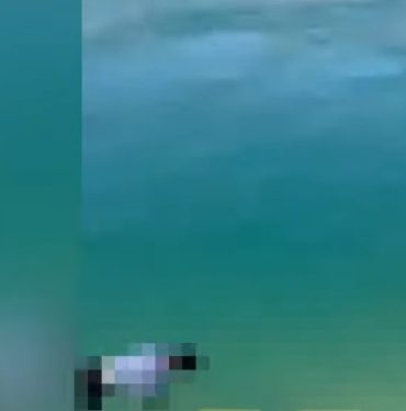 Screenshot_20250418_111829_Instagram