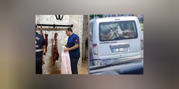 InShot_20250501_171838057