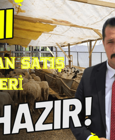 Sarı Modern Video Oyunu Yeni Bölüm Tanıtımı YouTube Küçük Resmi_20250526_172928_0000