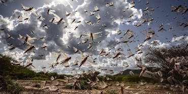 1440x810_cmsv2_22e24459-9aeb-5254-8da0-1ff5ba3c999f-4623658