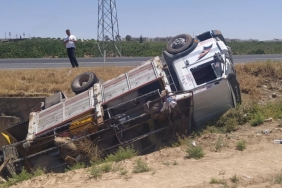 509185295-634880286267069-2181232165816935938-n