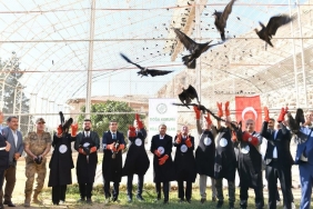 596d01af-e6da-4a88-8355-960947c8f6d2