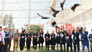 596d01af-e6da-4a88-8355-960947c8f6d2