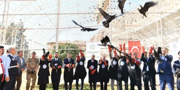 596d01af-e6da-4a88-8355-960947c8f6d2