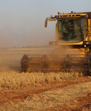 IMG-20250618-WA0035