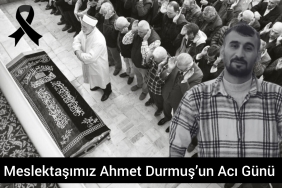 InShot_20250619_174040880