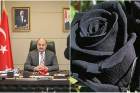 InShot_20250622_123058318