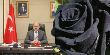 InShot_20250622_123058318