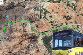 InShot_20250627_115741498