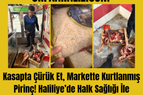 3 Görsel Galerisi_20250719_194234_0000