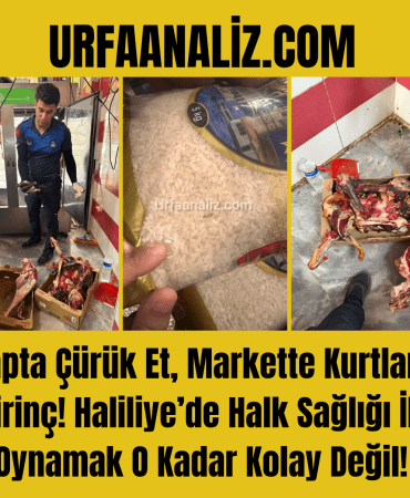3 Görsel Galerisi_20250719_194234_0000
