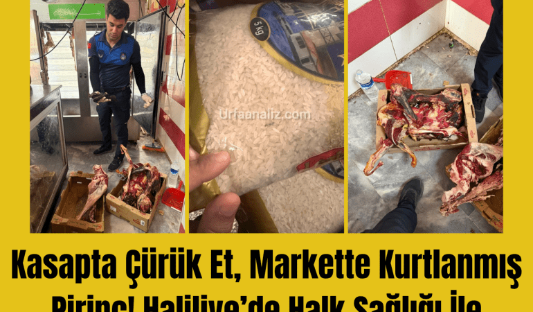 3 Görsel Galerisi_20250719_194234_0000