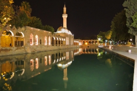 50536106413_b40a4e0584_b