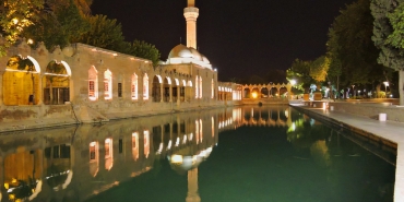 50536106413_b40a4e0584_b