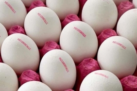 687a41dec25059b6e3091741