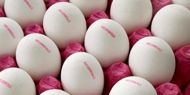 687a41dec25059b6e3091741