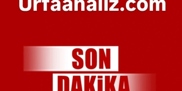 IMG_20250513_140219_708