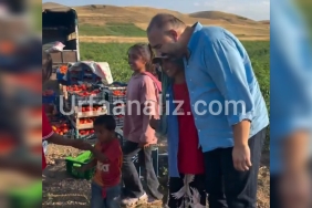 InShot_20250722_102454743