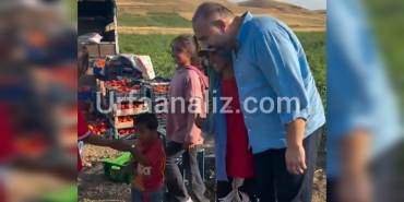 InShot_20250722_102454743