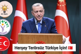 InShot_20250727_101319932