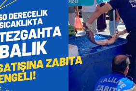 Mavi Dokulu Ekonomi Haberi Youtube Küçük Resmi_20250709_093821_0000