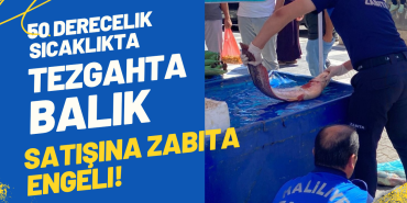 Mavi Dokulu Ekonomi Haberi Youtube Küçük Resmi_20250709_093821_0000